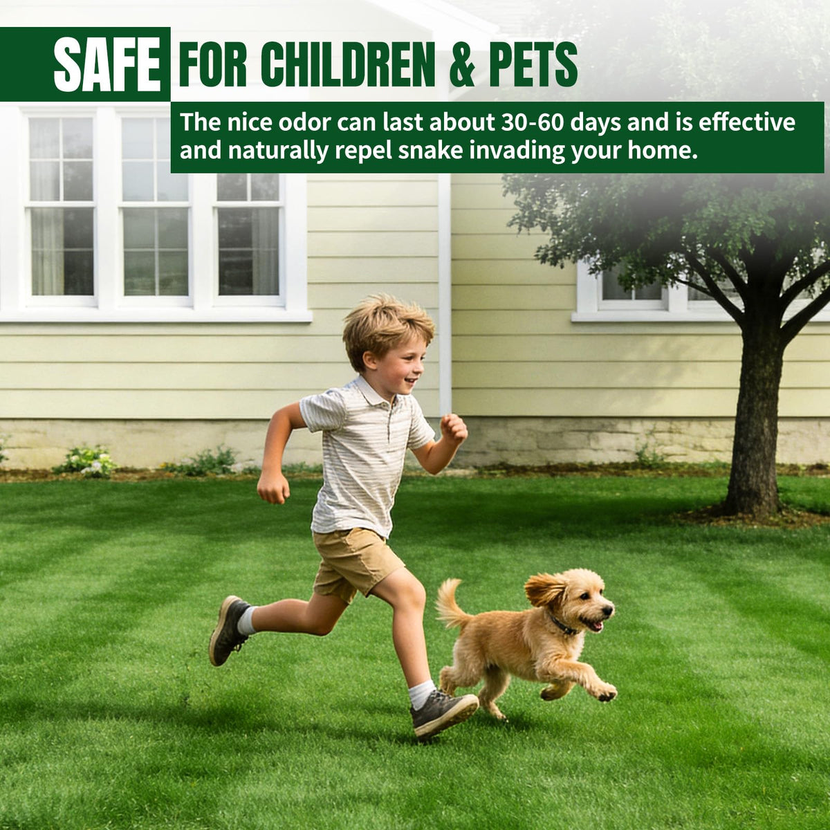 Long-lasting cedarwood odor lasts up to 60 days.
