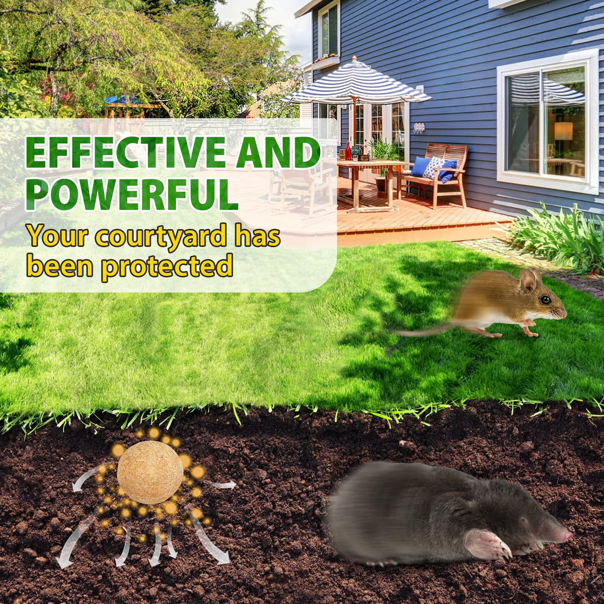 Tubadros vole and mole repellent in outdoor yard setup for perimeter defense