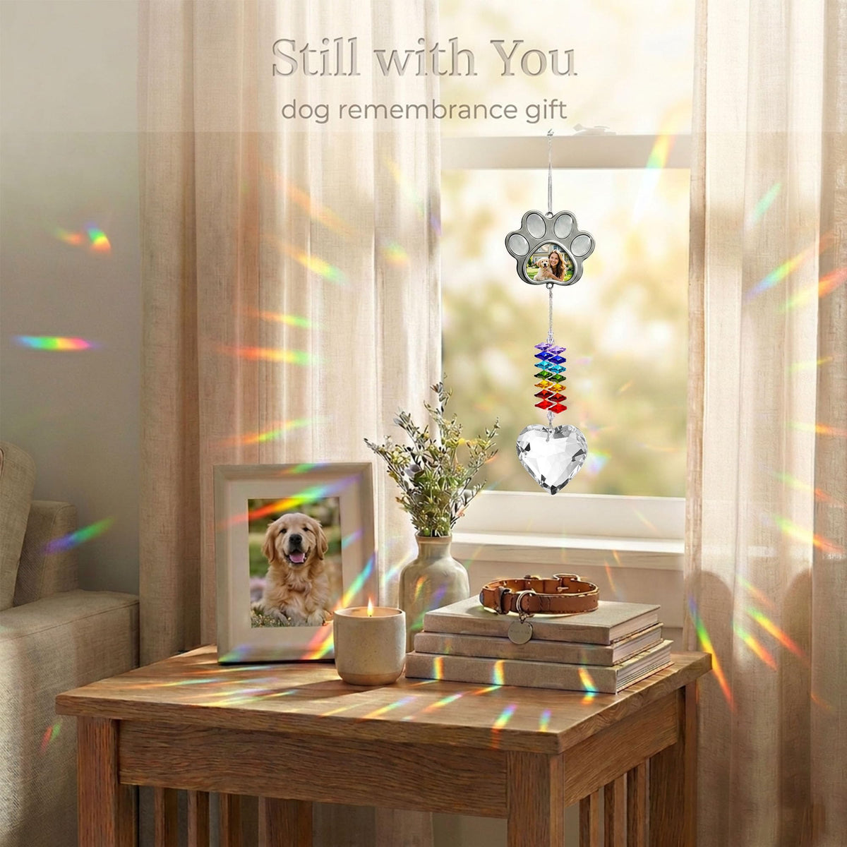 TUCUXY sunlight rainbow memorial display turns daily light into comforting memories.