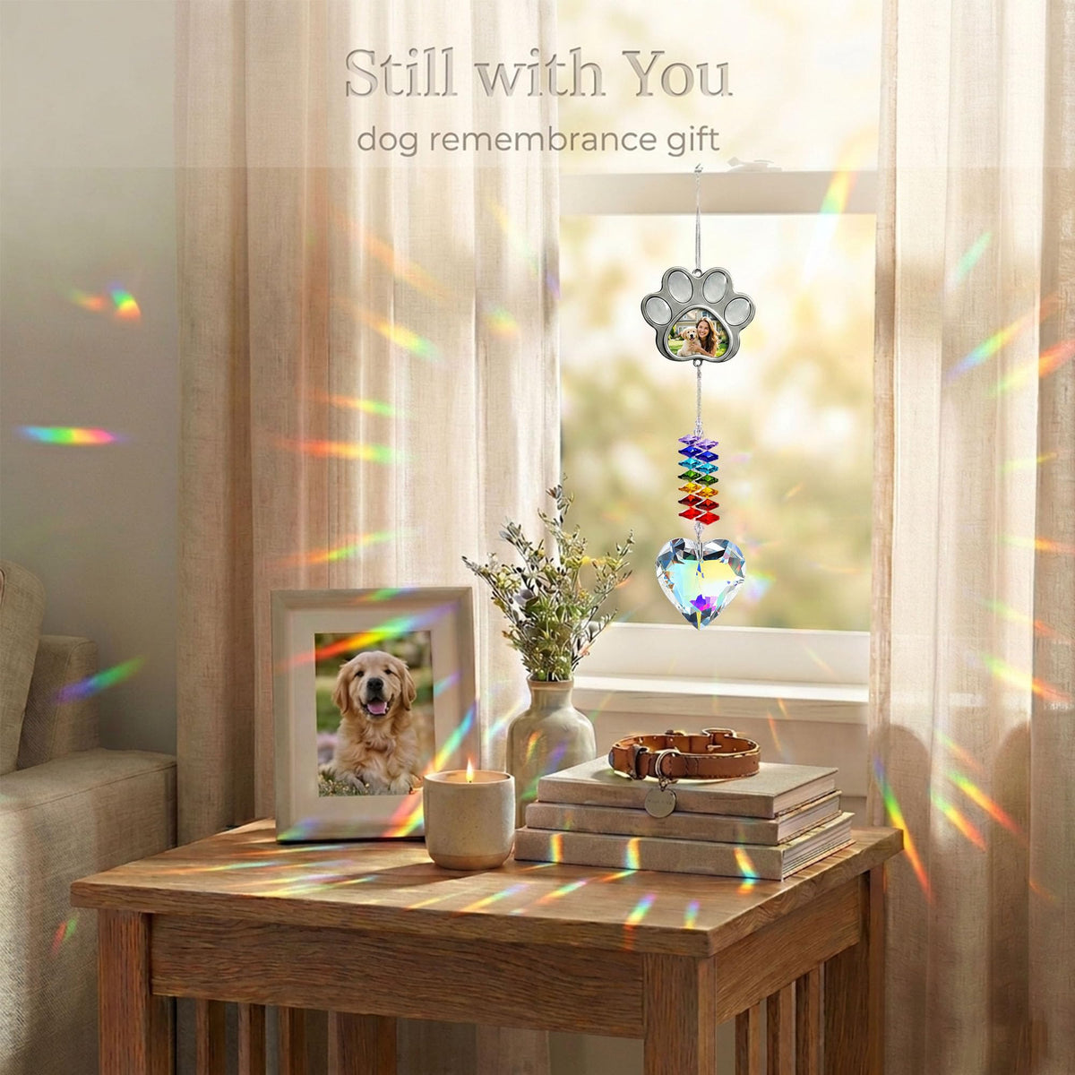 TUCUXY window display memory keepsake for pet lovers.
