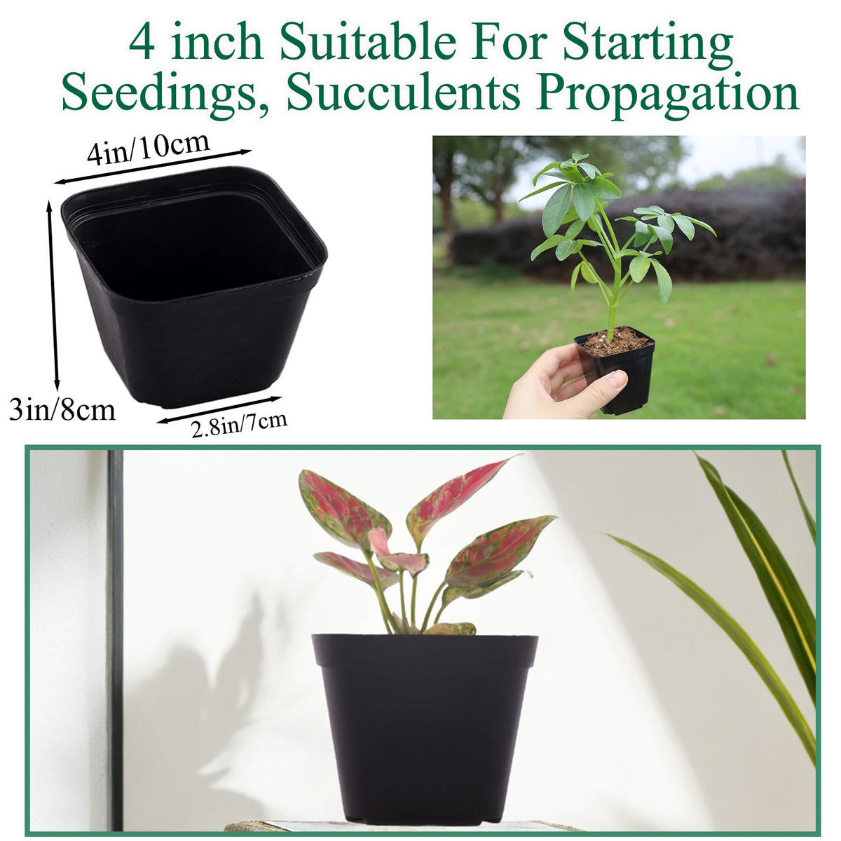 Tulpeed 2-inch square seedling pots provide stable, spill-free starter containers.