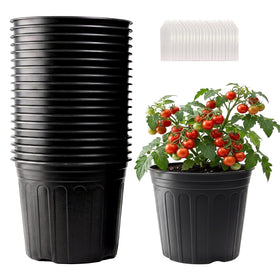 Tulpeed 2-gallon nursery pot with drainage holes, ideal for seedlings.