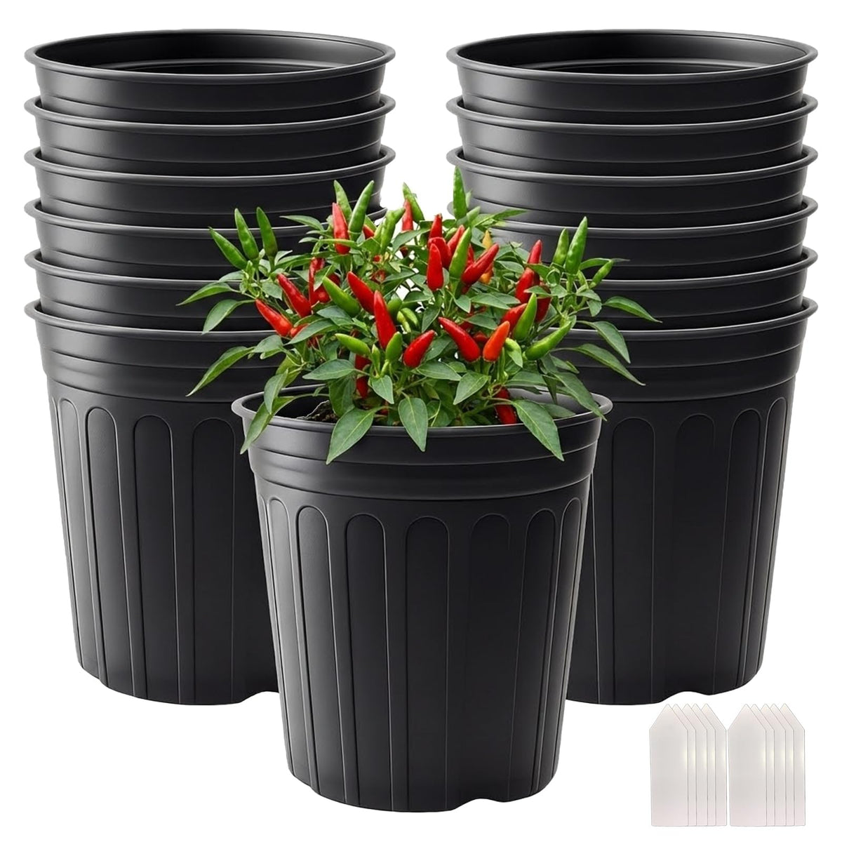Tulpeed 3-gallon nursery pot with drainage holes supports healthy root growth.