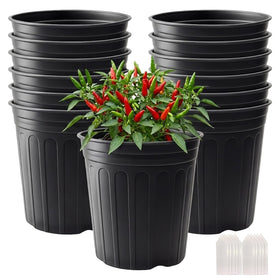 Tulpeed 3-gallon nursery pot with drainage holes supports healthy root growth.