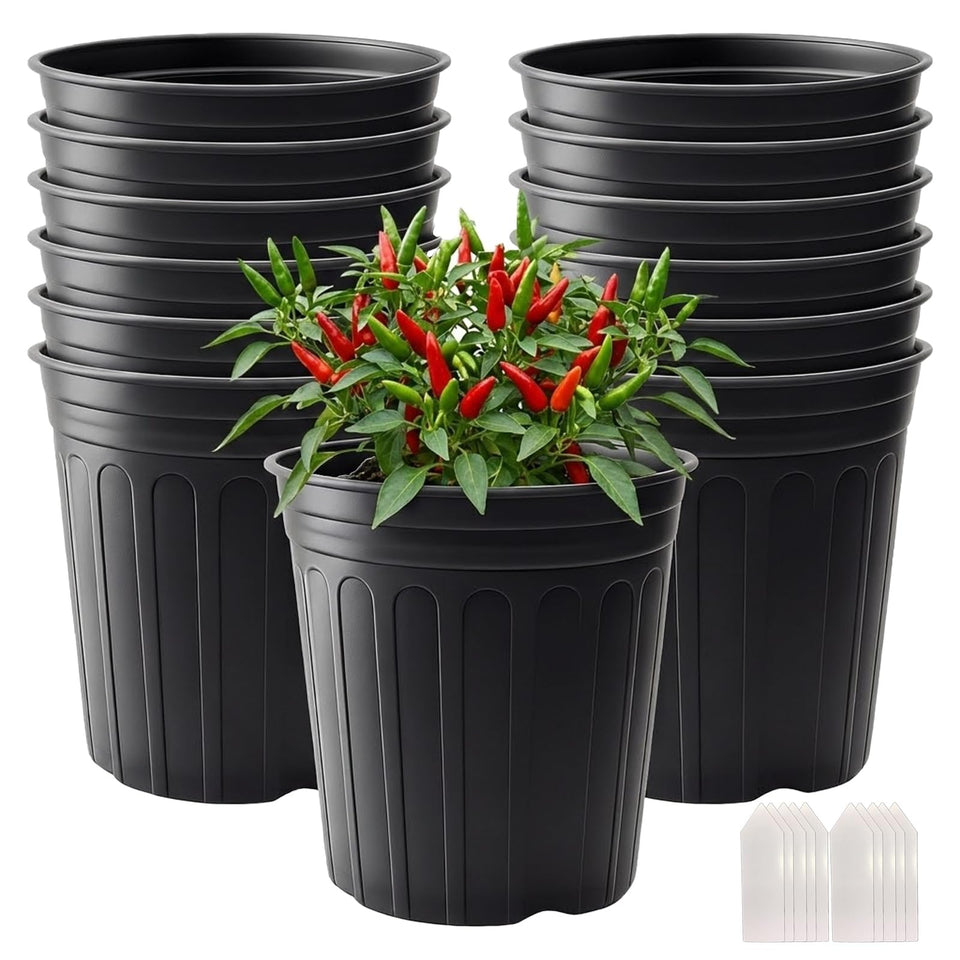 Tulpeed 3-gallon nursery pot with drainage holes supports healthy root growth.