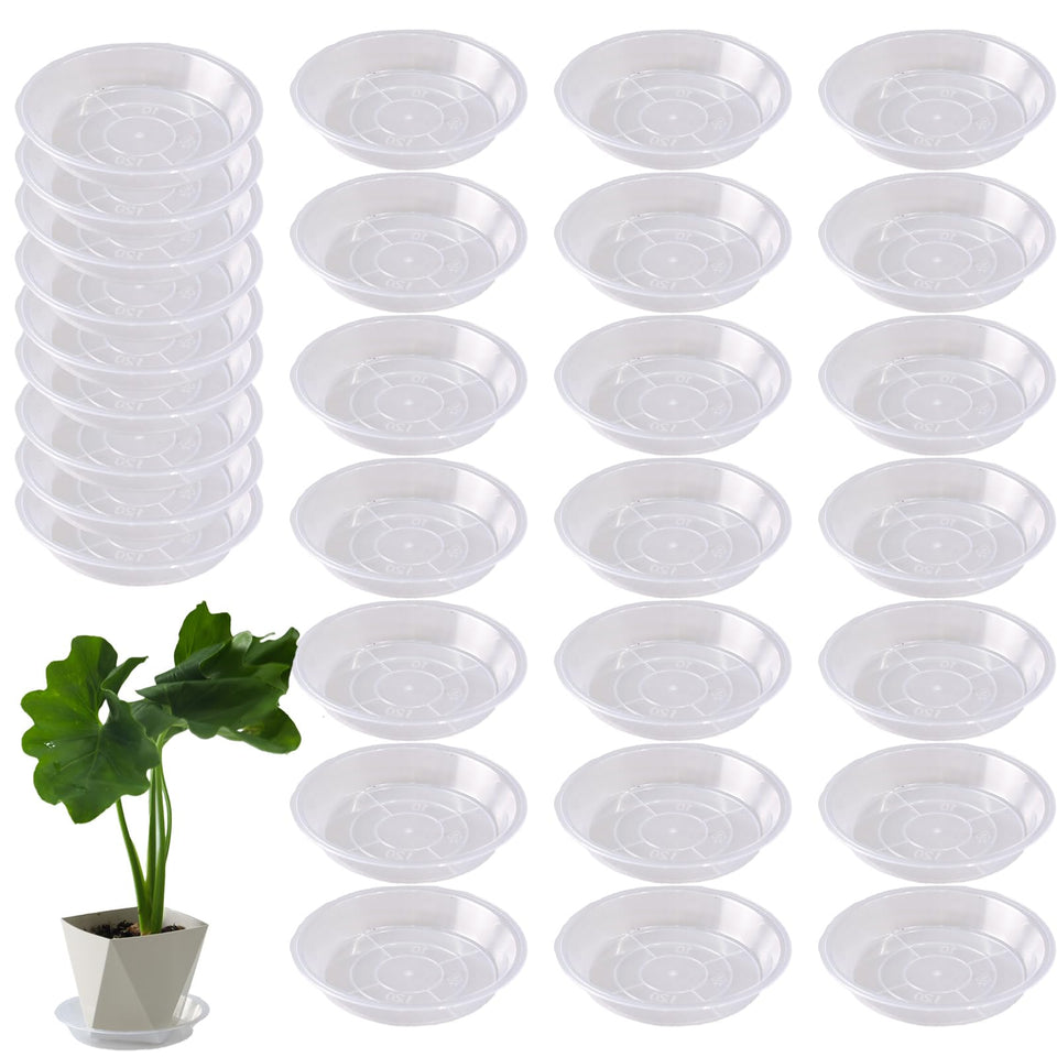 Tulpeed 30-pack clear plant saucer 4-7in to catch drips and protect floors.