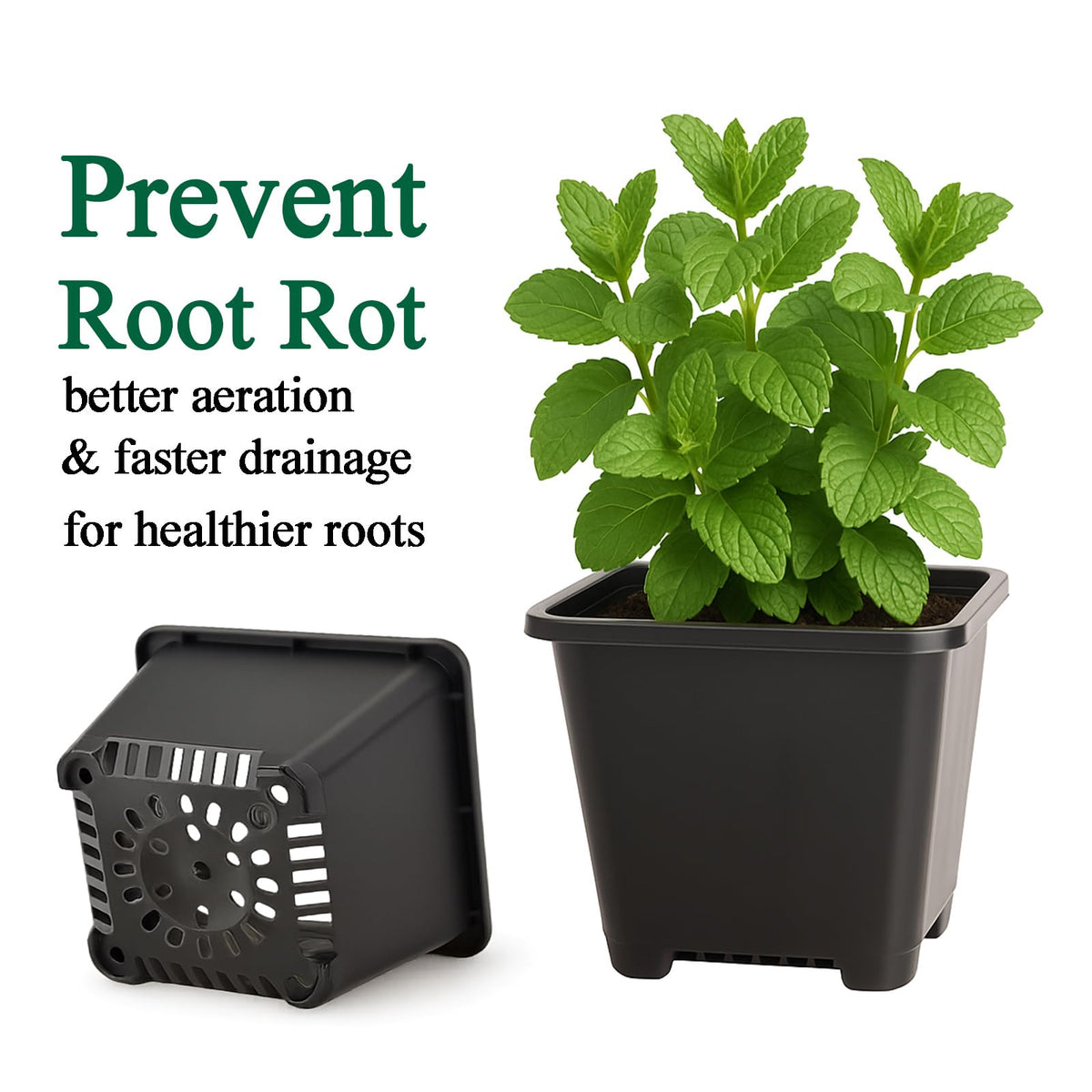 Tulpeed 5.5-inch square pots enhance stability and space efficiency.