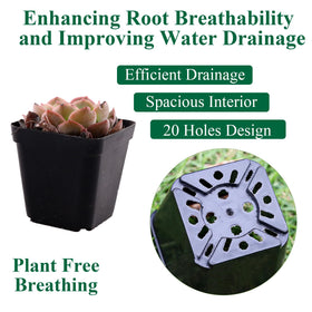 Tulpeed durable black clear nursery pots with drainage for long-term use