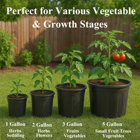 Tulpeed cylinder design keeps plants upright in various setups.