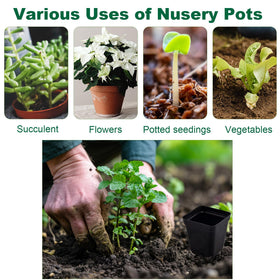 Tulpeed nursery pots suit greening projects, home gardens, and displays.
