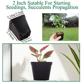 Tulpeed pot with 20 drainage holes for better root aeration