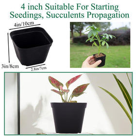 Tulpeed nursery pots with drainage holes support better aeration and drainage.