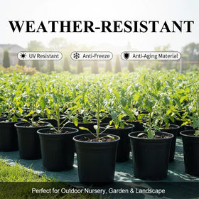 Tulpeed reusable PP nursery pots withstand multiple seasons of use.