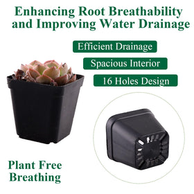 Tulpeed robust plastic seedling pots designed for repeated seasonal use.