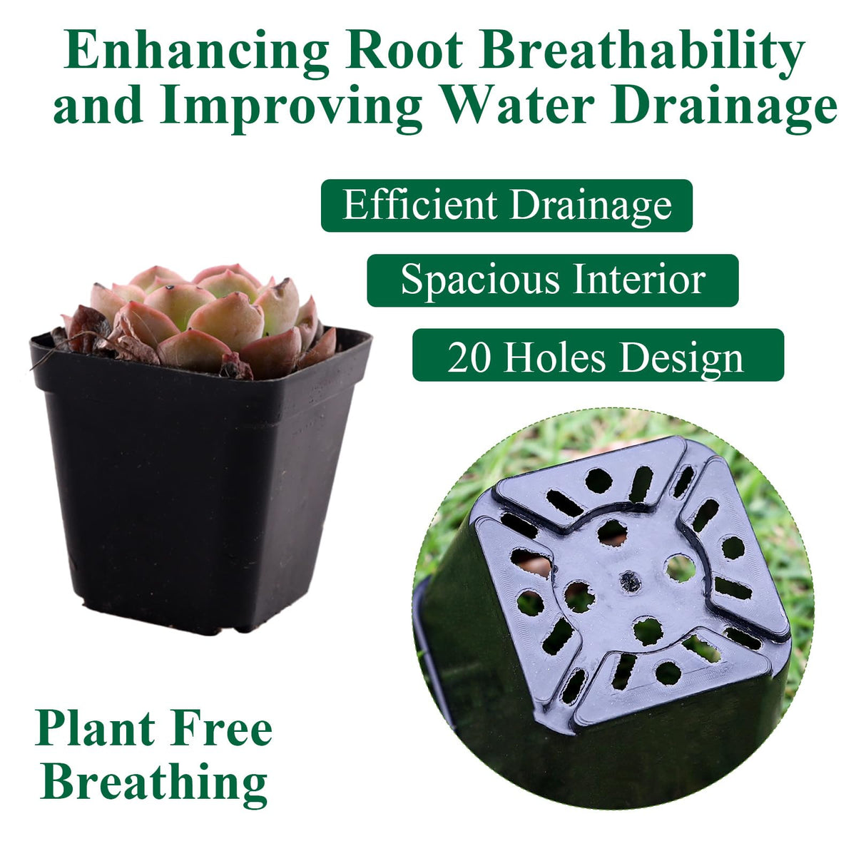 Tulpeed square design pot keeps plants upright during handling