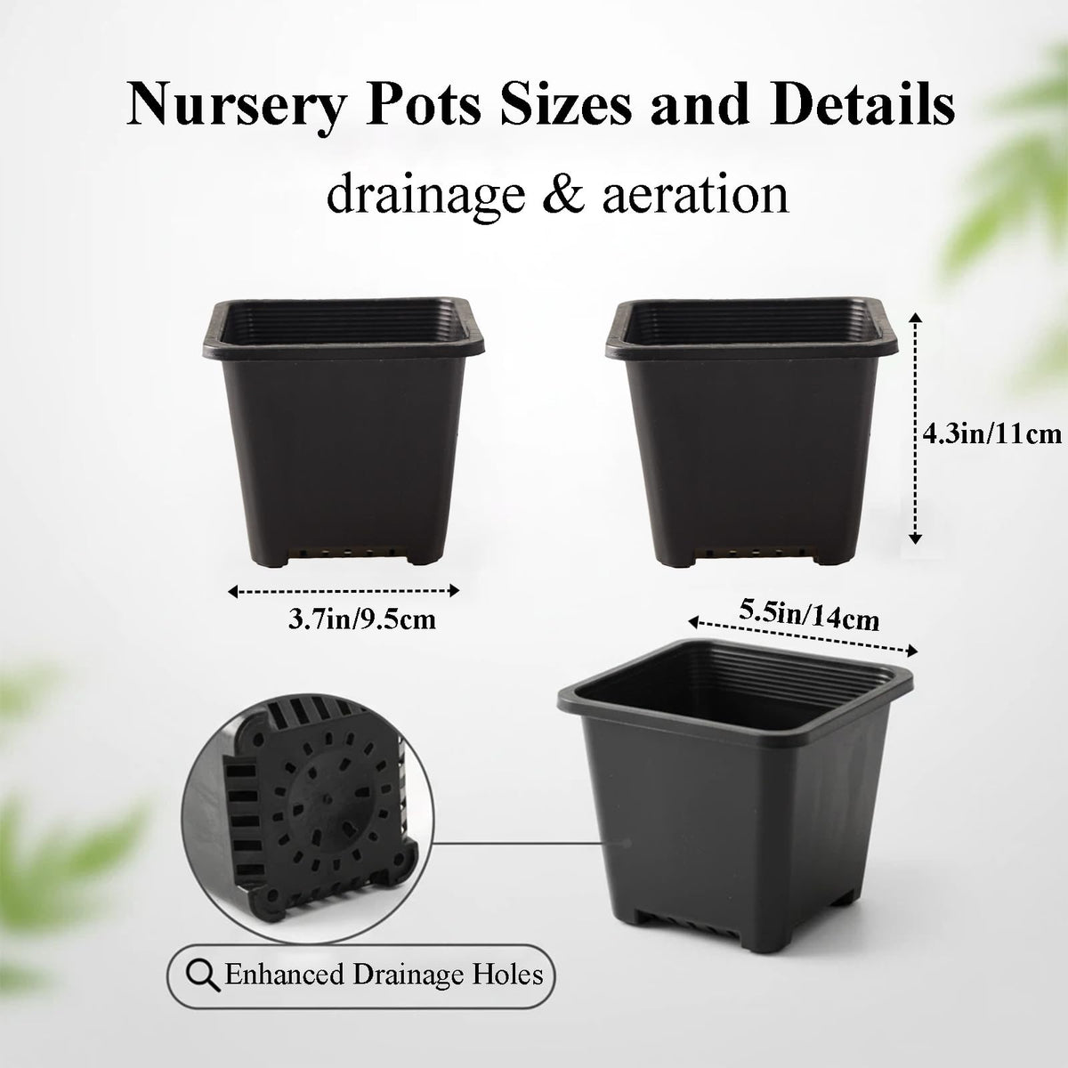 Tulpeed square plant pots provide stable support for upright growth.