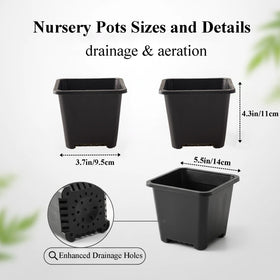 Tulpeed square plant pots provide stable support for upright growth.