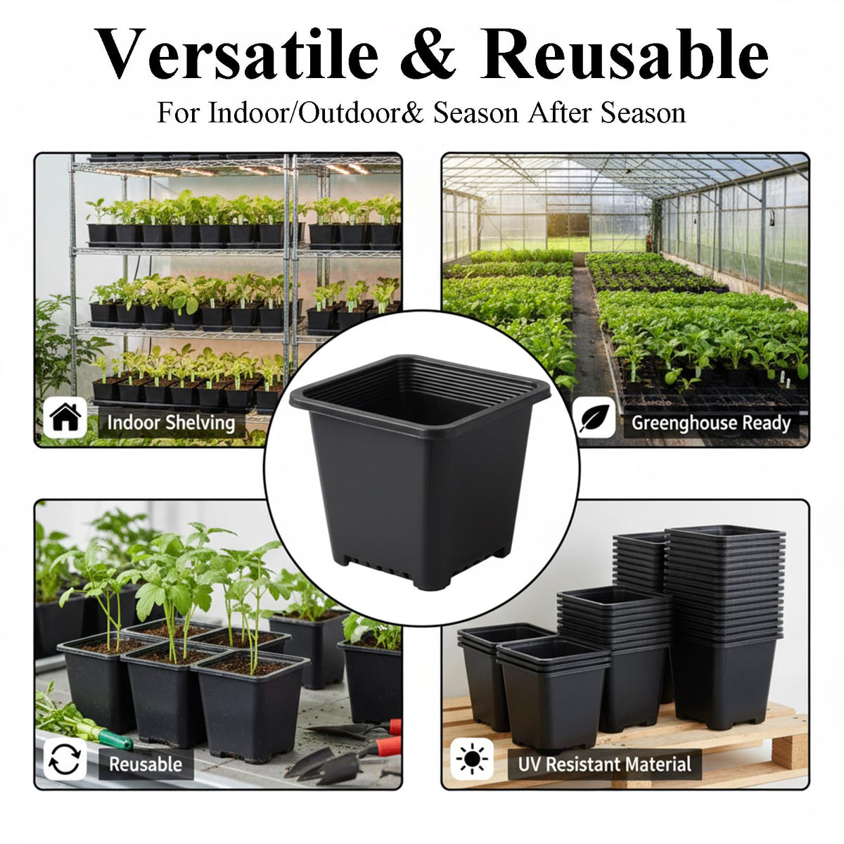 Tulpeed 5.5-inch square pots optimize space in nursery layouts.