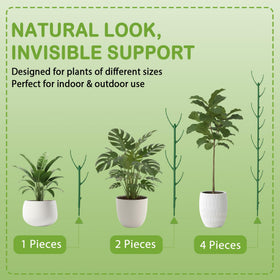 Tulvixxo clip-and-tie system securing stems gently.