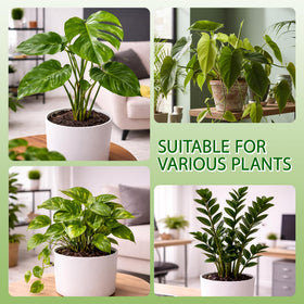 Tulvixxo indoor-outdoor use supports climbing plants like Monstera.