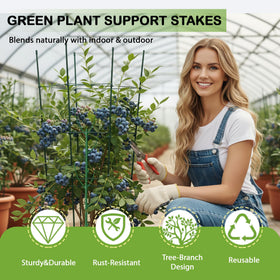 Tulvixxo plants supported on a windowsill with sleek stakes.