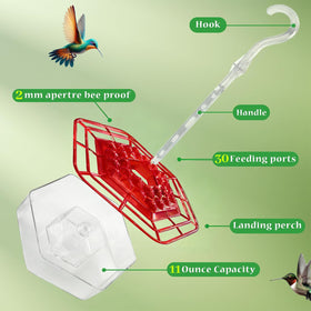 TUONU hummingbird feeder ant moat demonstrates pest protection at nectar source.