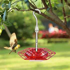 TUONU 2-pack hummingbird feeder display emphasizes value and convenience.