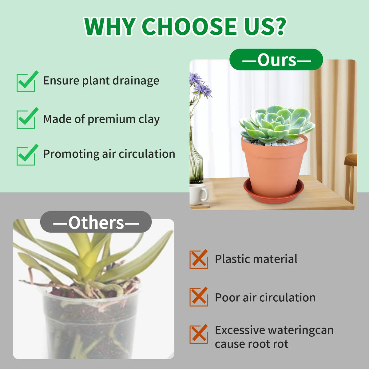 Tuqaumu conical mesh pad supports drainage and soil containment.