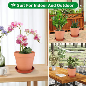 Tuqaumu versatile setup for indoor and outdoor plant displays.