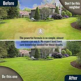 Turf Titan Turf Health Improvement highlights visible softness and growth after treatment.