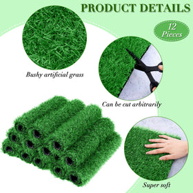 TURSTIN grass mat 12x12 inch ideal for pots shelves and mini landscapes