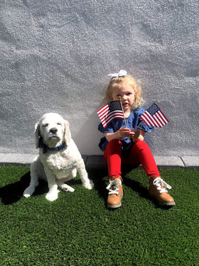 TUTARE 50 American flags for school events and celebrations.