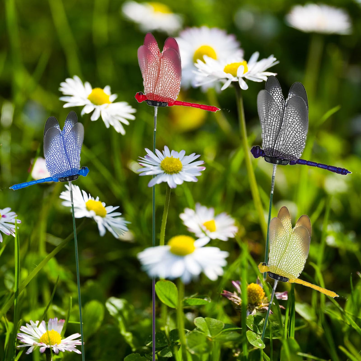 Tuxiaobu breeze-swinging dragonflies add dynamic motion