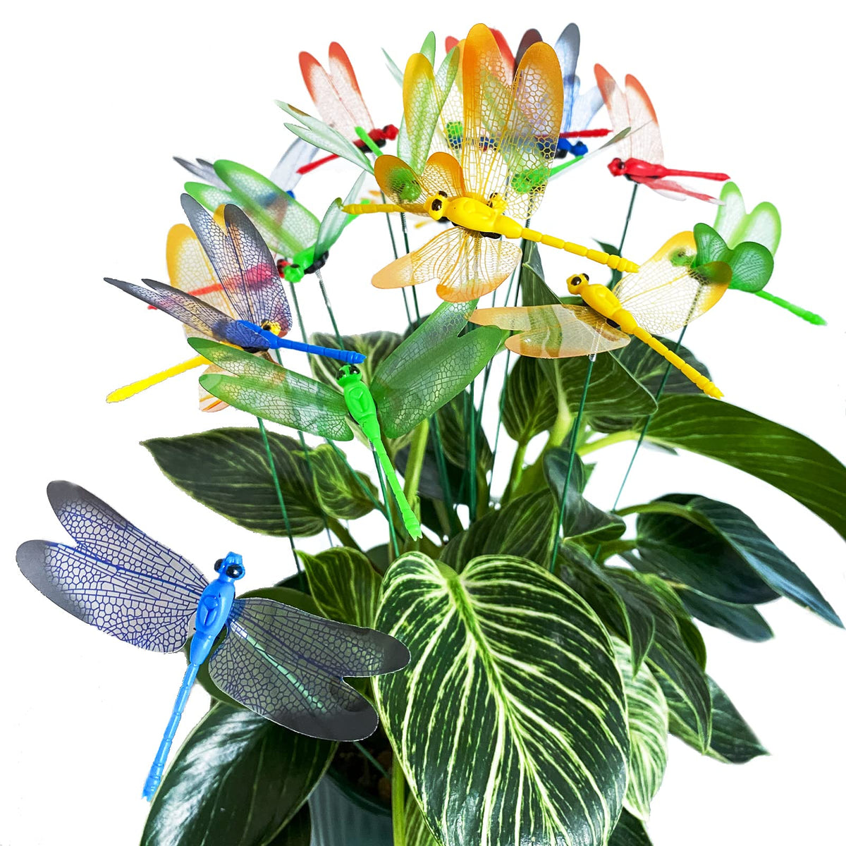 Tuxiaobu dragonfly green stakes for vibrant arrangements