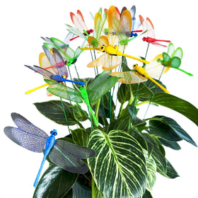 Tuxiaobu dragonfly green stakes for vibrant arrangements