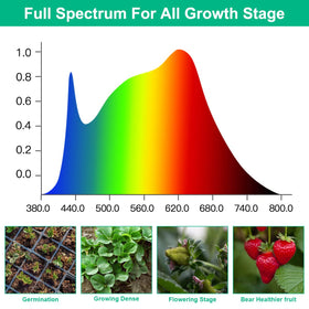 TVTUTPWY T5 Grow Lights 1.4 ft segments demonstrating modular length