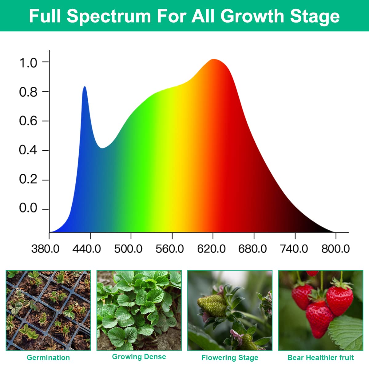 TVTUTPWY T5 Grow Lights end-to-end connectable for longer setups.