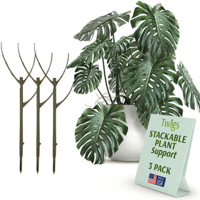 Twigs GA Moonstone stackable stake front view supports upright indoor plants.
