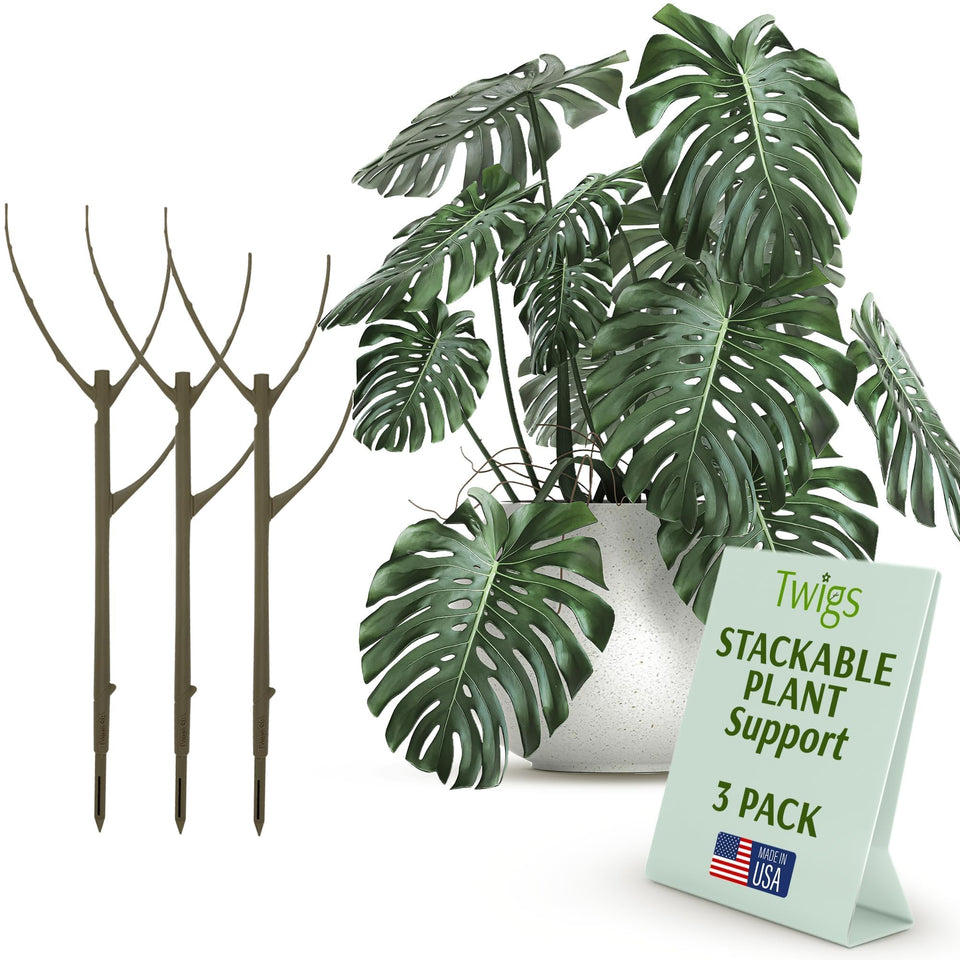 Twigs GA Moonstone stackable stake front view supports upright indoor plants.
