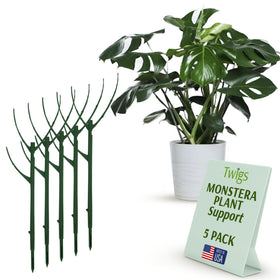 Twigs GA stackable monstera stake edge in pot supports climbing plants with clean aesthetics.