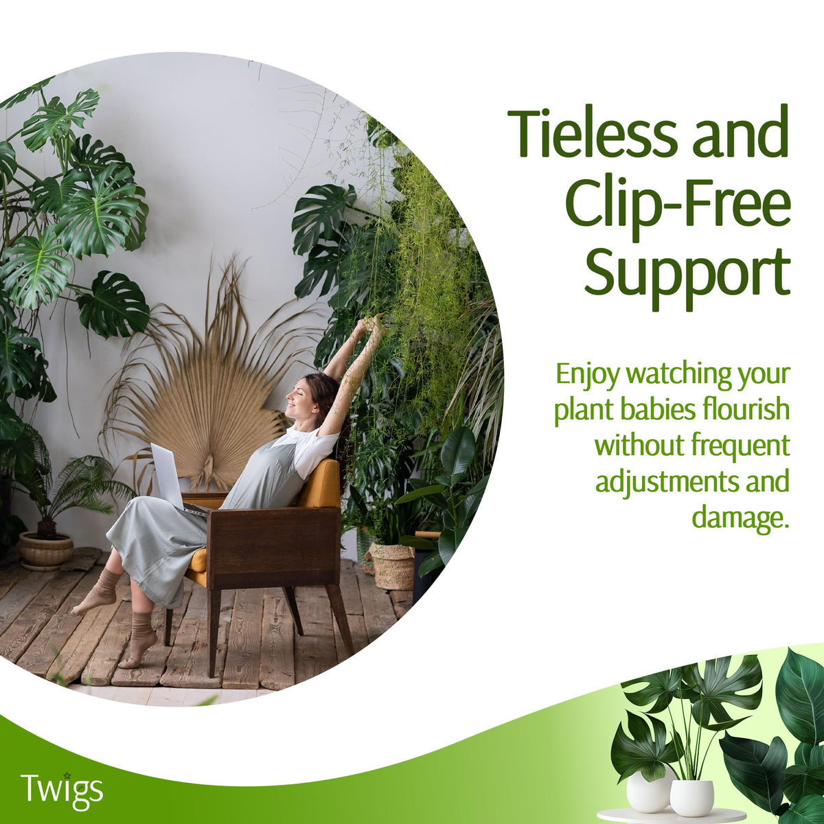 Twigs GA stackable monstera stake indoors provides elegant plant architecture.