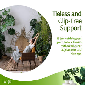 Twigs GA stackable monstera stake indoors provides elegant plant architecture.