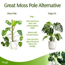 Twigs GA stake made in the USA by a small business.