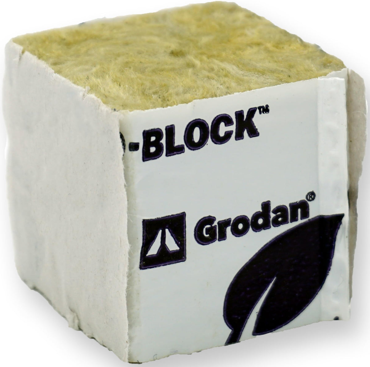 Twin Canaries rockwool propagation blocks show a neat tray ready for cuttings and clones.