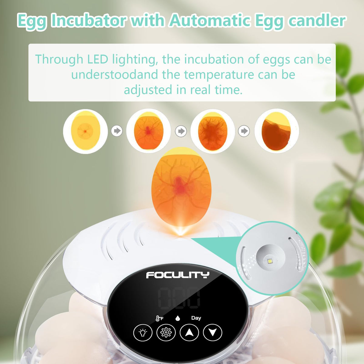 TWIZMO Built-In Egg Candler lets you observe progress without opening the lid.