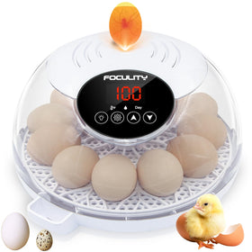 TWIZMO Egg Incubator 12 Eggs maintains stable temperature for reliable hatch readiness.