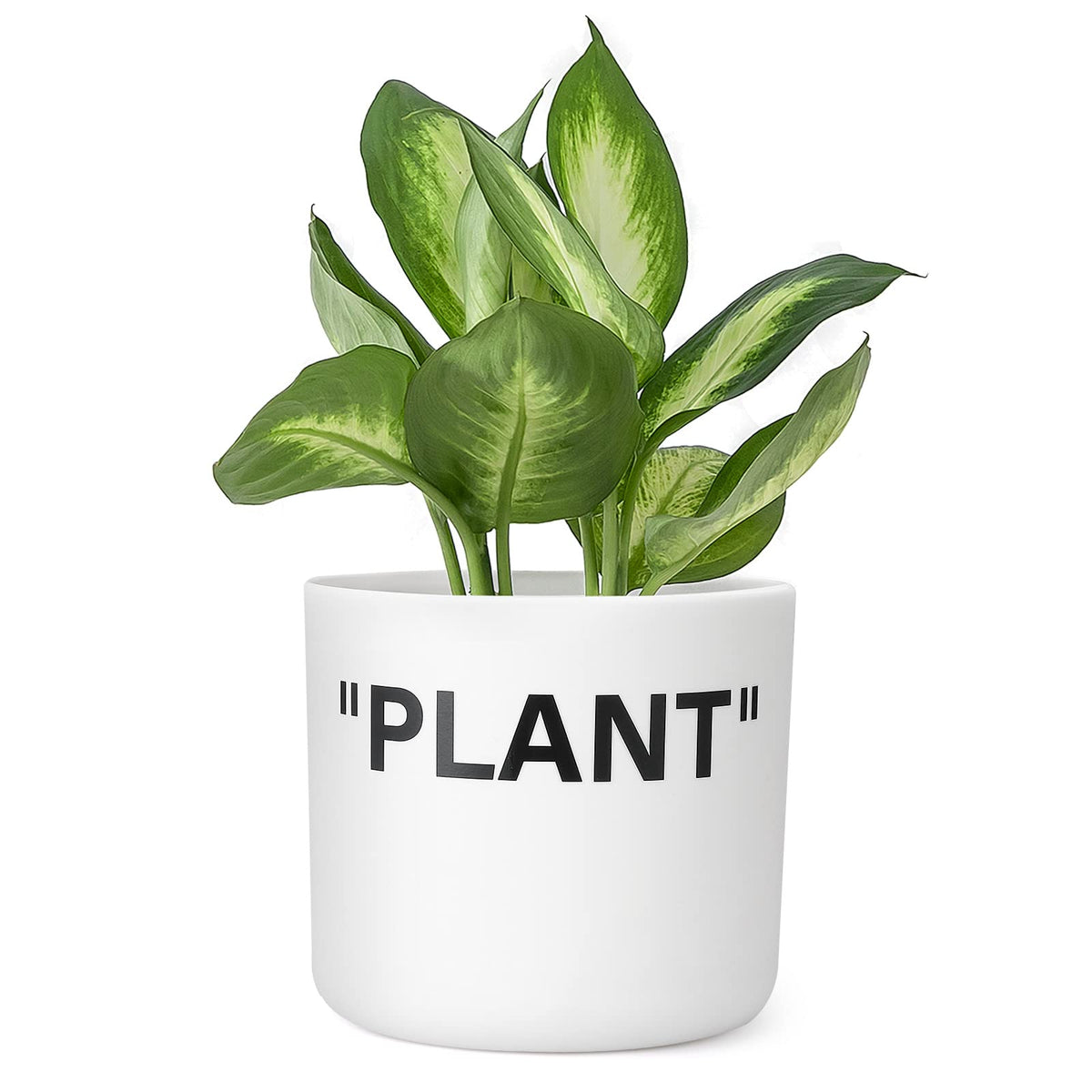 TwoDays Off-White Inspired Sneaker Planter front view, ideal for desk plant decor.