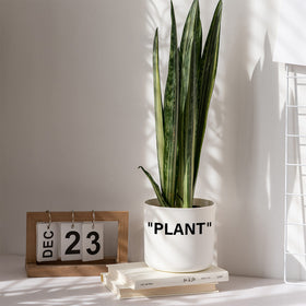 TwoDays Off-White Inspired Sneaker Planter gift idea for sneakerheads.