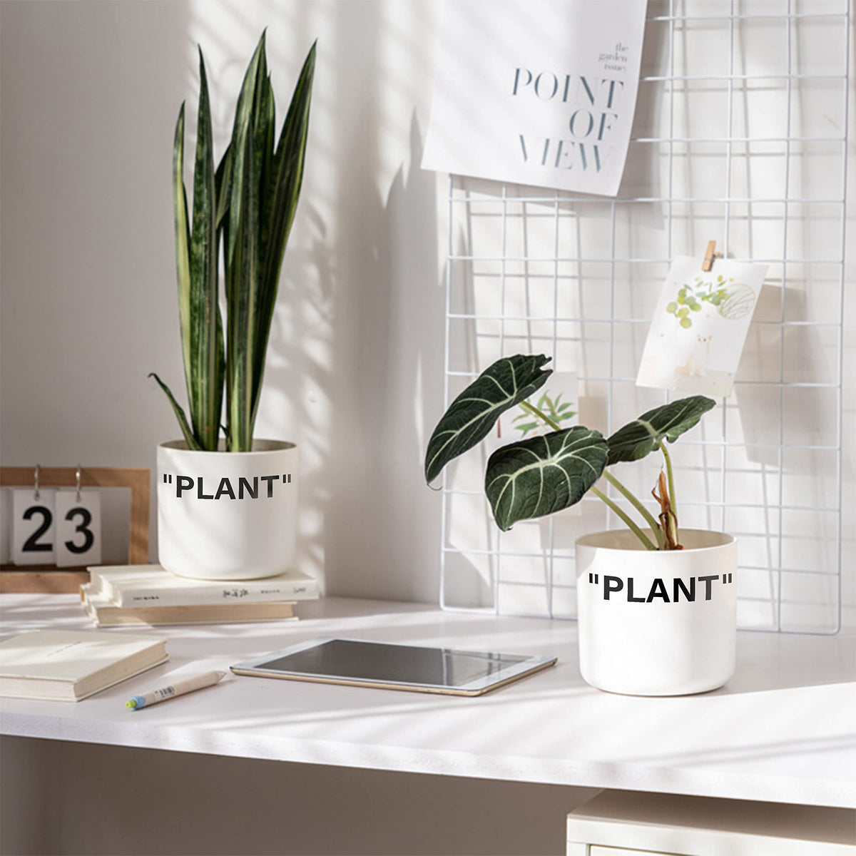 TwoDays Off-White Inspired Sneaker Planter side view, compact 5-inch pot for shelves.