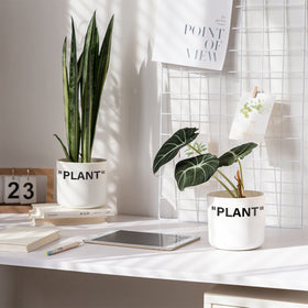 TwoDays Off-White Inspired Sneaker Planter side view, compact 5-inch pot for shelves.